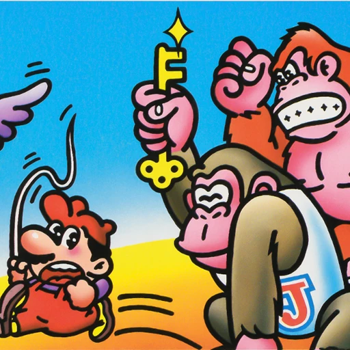 Donkey Kong Jr.