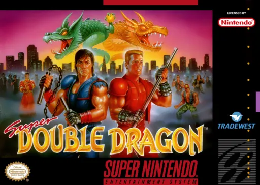 Super Double Dragon