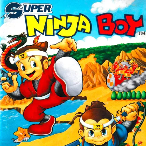 Super Ninja Boy